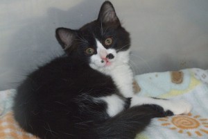 Picture of Jill