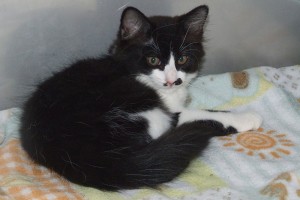 Picture of Jill