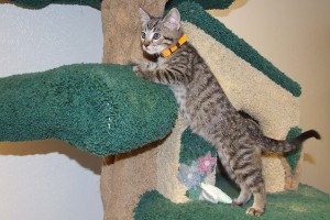 Picture of Bram