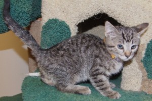 Picture of Bram