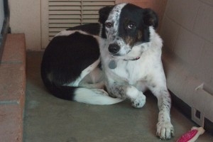 Picture of Brielle