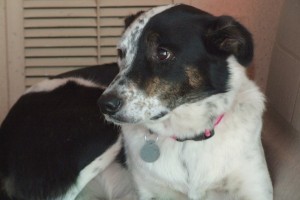Picture of Brielle