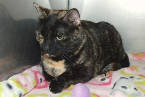 Picture of Glenda