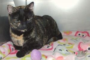 Picture of Glenda