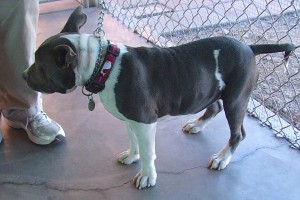 Picture of Mackie