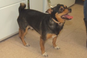 Picture of Markie