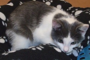 Picture of Mary