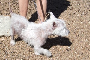 Picture of Maxx