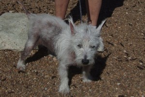 Picture of Maxx