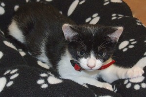 Picture of Peter