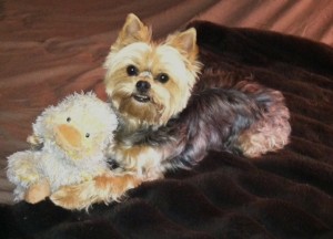 Picture of Roscoe