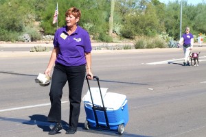 Picture of TALGV in White Elephant Parade