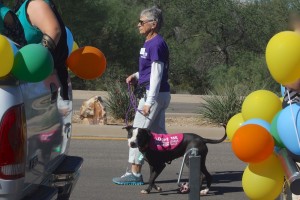 Picture of TALGV in White Elephant Parade