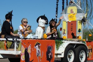 Picture of TALGV in White Elephant Parade