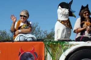 Picture of TALGV in White Elephant Parade