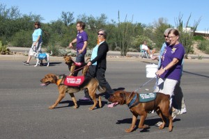 Picture of TALGV in White Elephant Parade