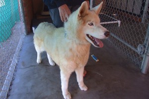 Picture of Xander