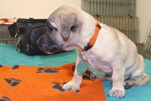 Picture of Billy