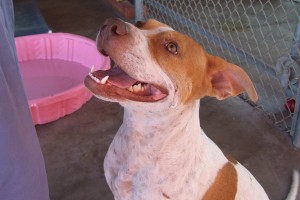 Picture of Dora