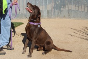 Picture of Wyatt