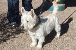 Picture of Remington