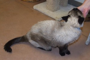 Picture of Teddy