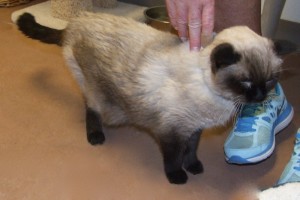 Picture of Teddy