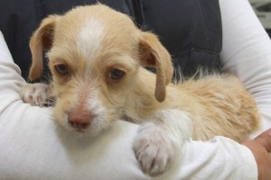 Picture of Tina
