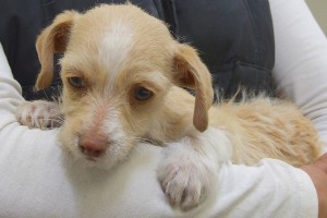 Picture of Tina