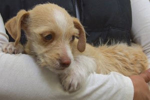 Picture of Tina
