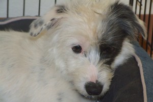 Picture of Donny