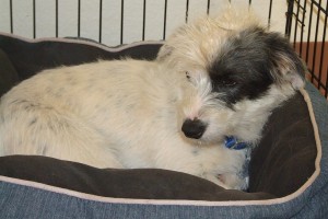 Picture of Donny
