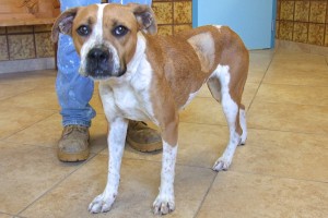 Picture of Lucy