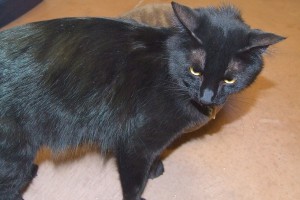 Picture of Marcus