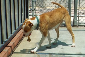 Picture of Marti