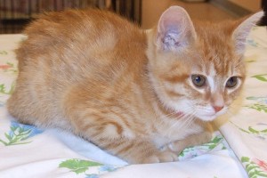 Picture of Marti