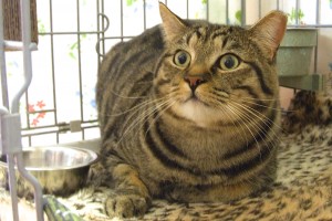 Picture of Marvin