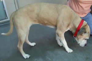 Picture of Sasha Ann