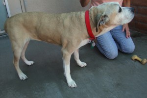 Picture of Sasha Ann
