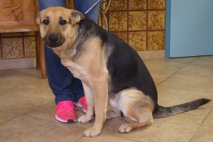 Picture of Sheila
