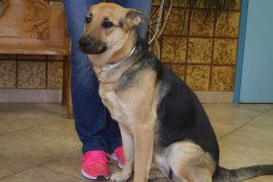 Picture of Sheila