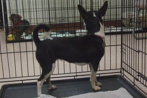 Picture of Amy