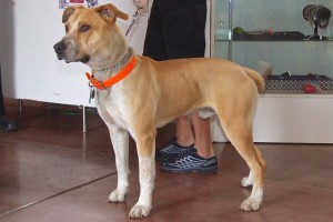 Picture of Leon