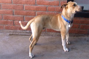 Picture of Leon