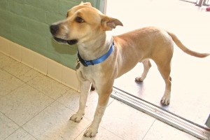 Picture of Leon