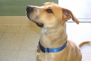 Picture of Leon