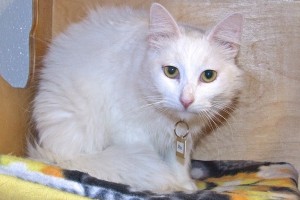 Picture of Max