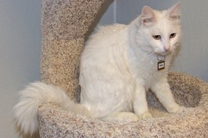 Picture of Max