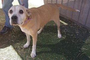 Picture of Sasha Ann