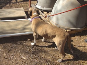 Picture of Sasha Ann
